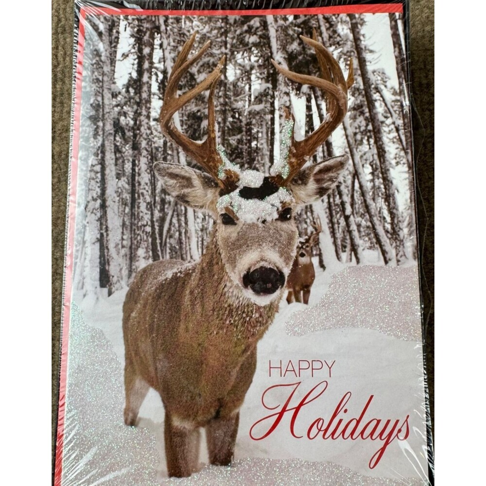 National Geographic Happy Holidays Greeting Cards Boxed Set 18 Pack NEW Glitter
